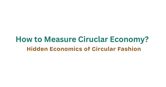 How to Measure Ciruclar Economy? Hidden Economics of Circular Fashion