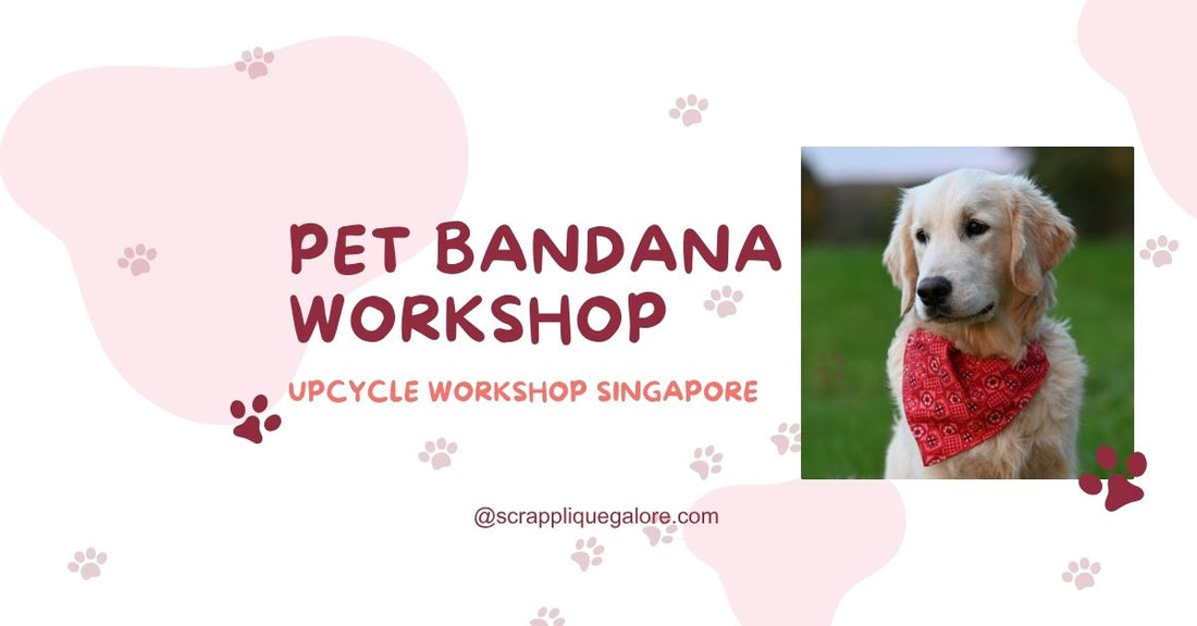 Sew a Pet Bandana for your Pets Singapore Zero-Waste Workshops for Pets