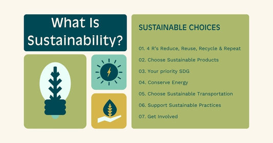 What Is Sustainability? How Can We Adopt Sustainability In Our Daily Life's?